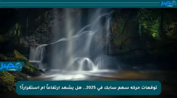 توقعات حركة سهم سابك في 2025.. هل يشهد ارتفاعاً أم استقراراً؟